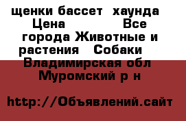 щенки бассет- хаунда › Цена ­ 20 000 - Все города Животные и растения » Собаки   . Владимирская обл.,Муромский р-н